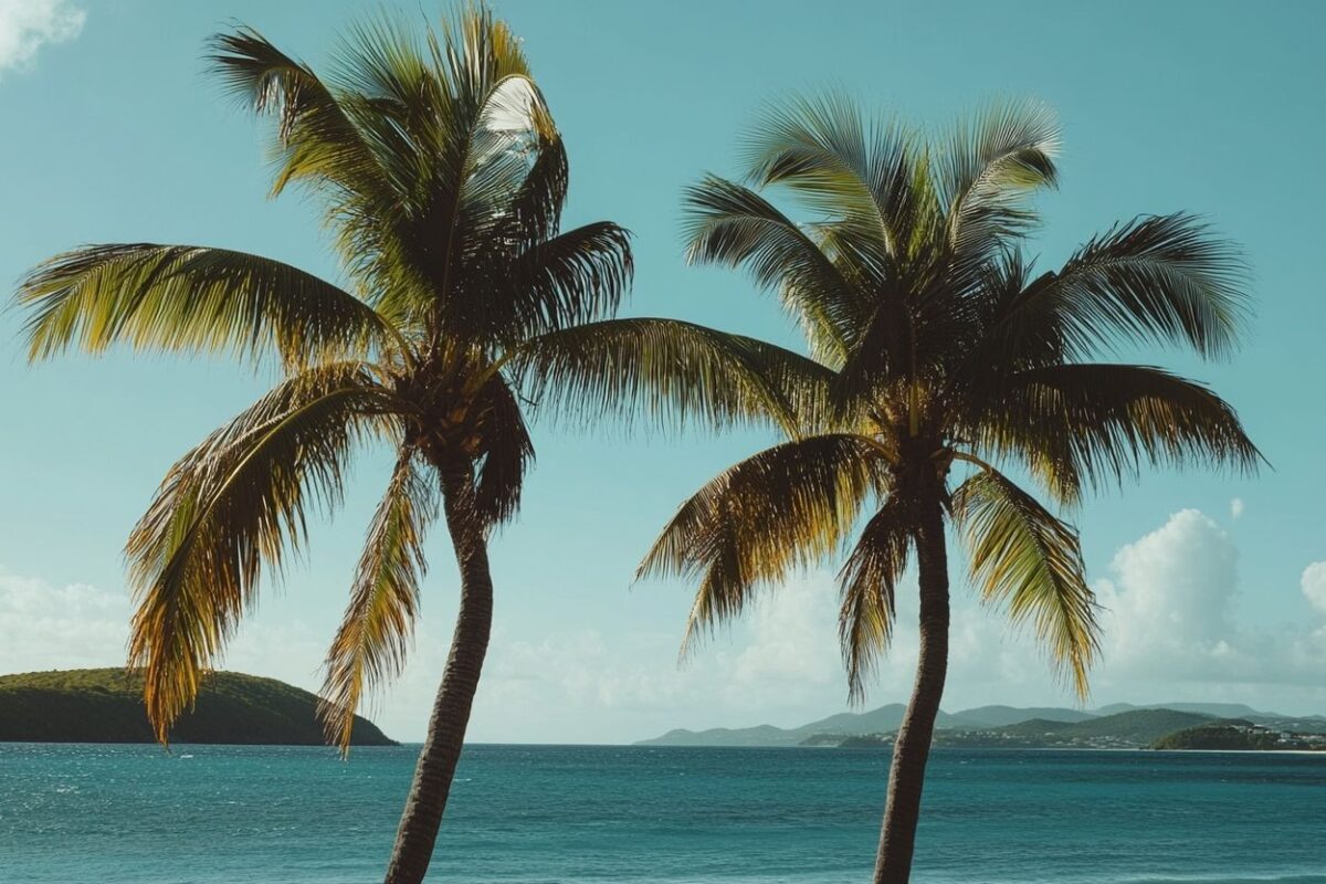 Antigua-et-Barbuda : un paradis caché avec une plage pour chaque jour de l'année